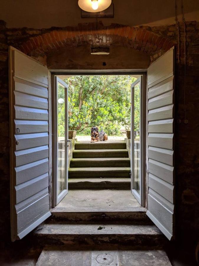 Casa rural Il Pezzatino Rufina