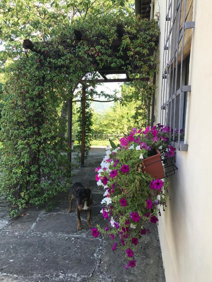 Il Pezzatino Landhaus *