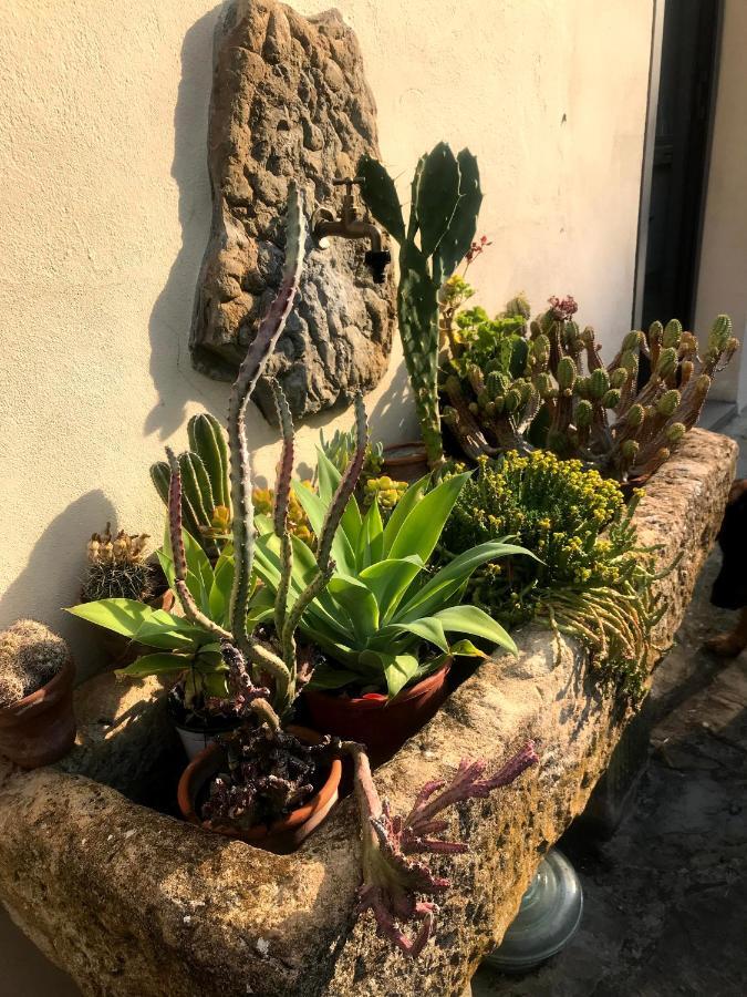 Il Pezzatino Country house Rufina