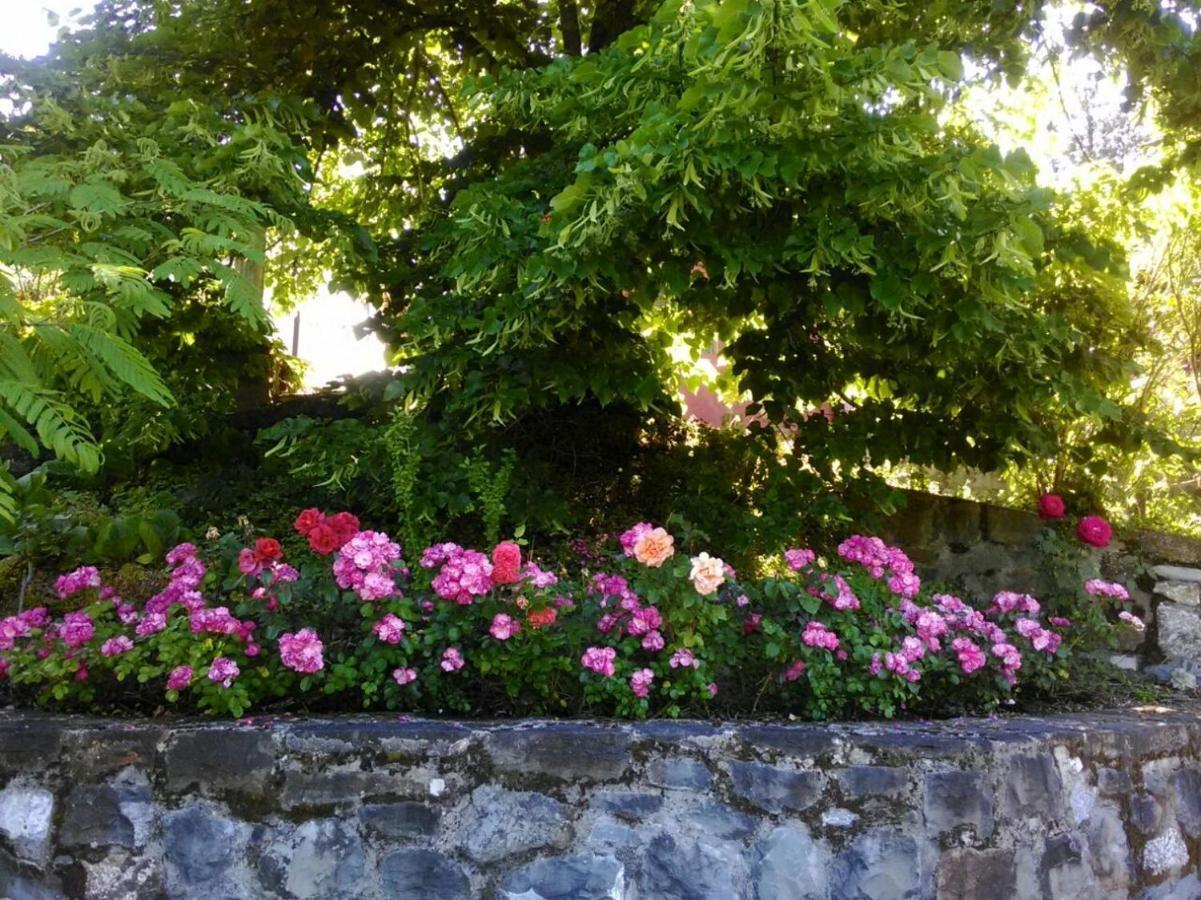 Country house Il Pezzatino *