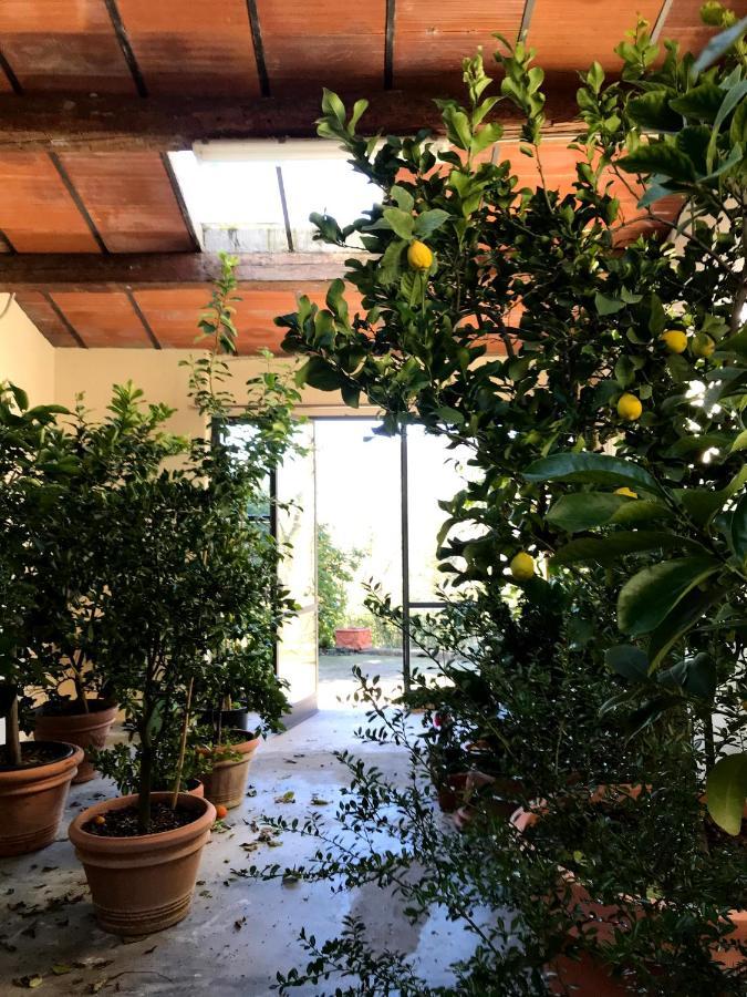 Il Pezzatino Landhaus Rufina