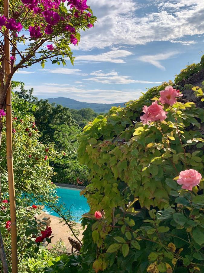 Country house Il Pezzatino *