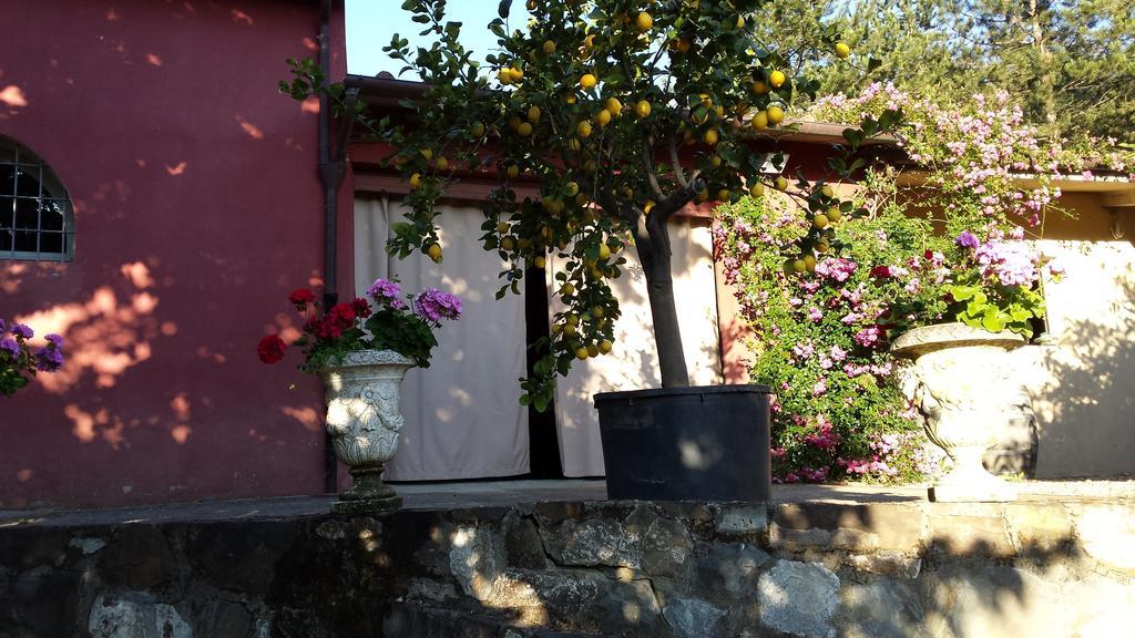 Country house Il Pezzatino *
