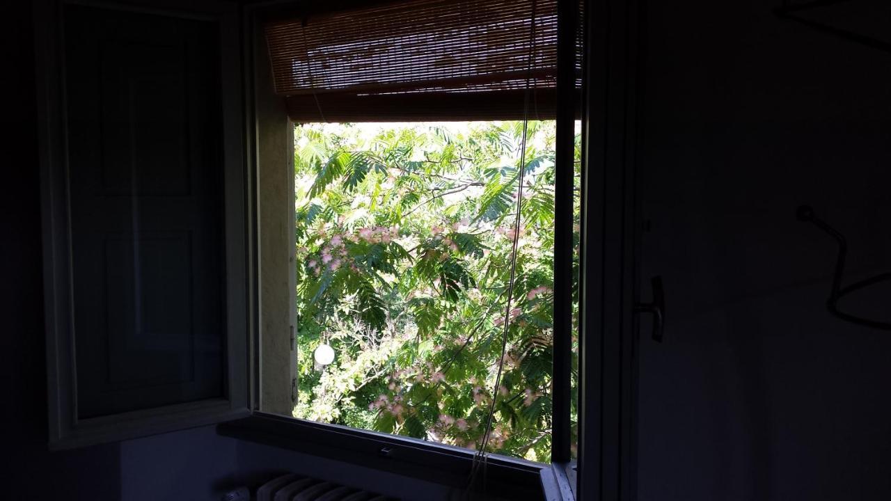 Country house Il Pezzatino