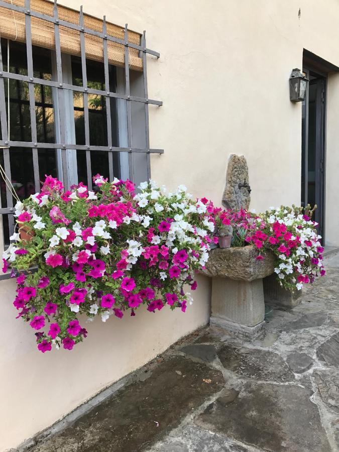 Il Pezzatino *