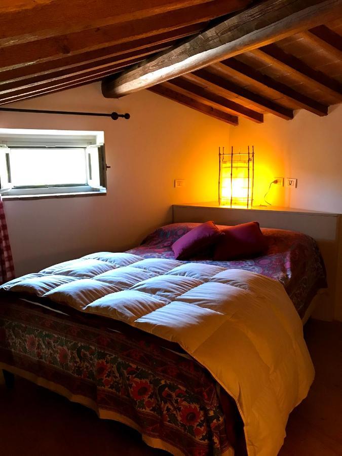 Country house Il Pezzatino Rufina